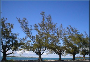 Sea views in Bahama Islands of Nassau